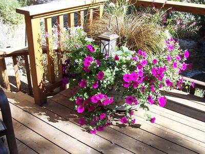 gallery/medium/0 (5)-Landscaping-Ketchum-Idaho.jpg